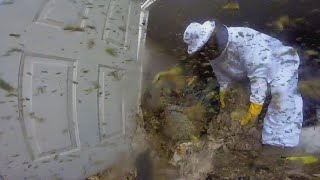 Exterminator Uses GoPro to Show What It’s Really Like Removing Hornets’ Nest [upl. by Lucius822]