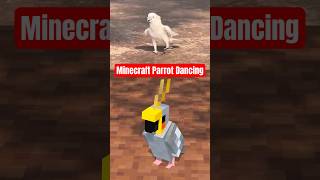 Minecraft parrot dancing🤣 minecraft shorts [upl. by Acirtap]