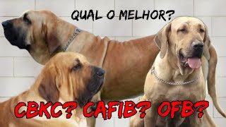 Os padrões da raça Fila Brasileiro minha opinião sincera [upl. by Williamsen]