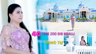 40 Xyoo Tsis Zoo Sib Nrauj by Dawb Yaj [upl. by Assille11]