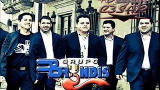 Grupo Bryndis Solo Exitos Mix [upl. by Htyderem743]