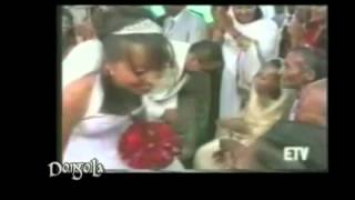 New Tigrigna Music Ethiopia Anbessa Tekle wedding Song אמהרית [upl. by Lilybelle558]