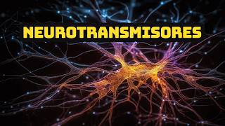 Neurotransmisores y cómo pueden afectarnos [upl. by Aleacim]