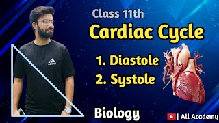 A Level Biology Revision quotPressure Changes during the Cardiac Cyclequot [upl. by Lehctim799]