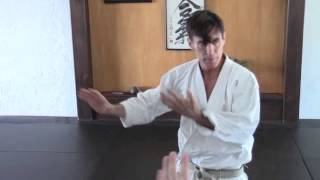 Karate Hand Mudras [upl. by Lothar]