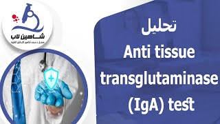 Anti tissue transglutaminase IgA test تحليل [upl. by Aizan]