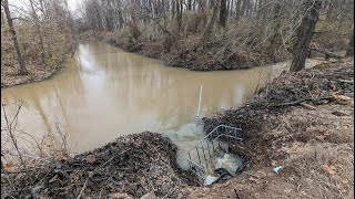 Beaver Dam Removal  Unclogging 4 drains [upl. by Alphonsine]