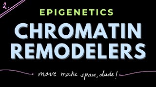 Chromatin Remodeling complexes Part 2  Epigenetics  GATECSIRNET [upl. by Lorin318]