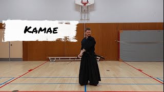 iaido znkr Kamae [upl. by Sivrahc]