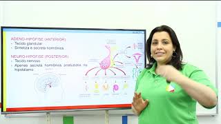 Biologia  Sistema Endócrino Adeno Hipófise [upl. by Nissy]