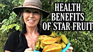 Health Benefits of Starfruit Carambola tropical fruit trees [upl. by Ludewig]