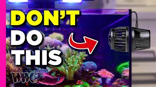 Is Flow KILLING Your Corals [upl. by Ricker]