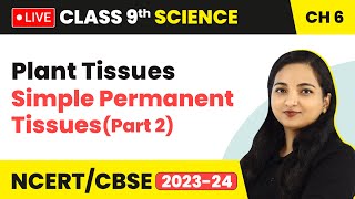 Plant Tissues  Simple Permanent Tissues Part 2  Class 9 Science Chapter 6 LIVE [upl. by Harlan]