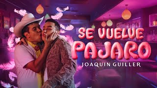 Joaquin Guiller  Se Vuelve Pájaro Video Oficial [upl. by Yerfdog]