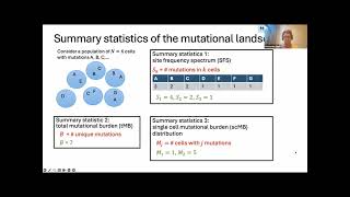 A mathematical analysis of the mutational landscape in cancer before and after treatment [upl. by Suckow414]