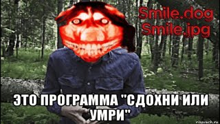 Да кто такой этот ваш Smile Dog [upl. by Yelwar]