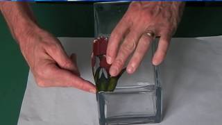 Introduction to Glass Painting Film [upl. by Boys]