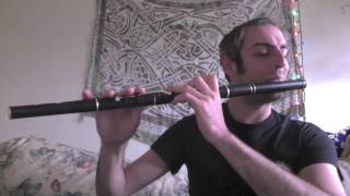 Lilting Banshee  Irish flute  slowfast [upl. by Amsirahc280]