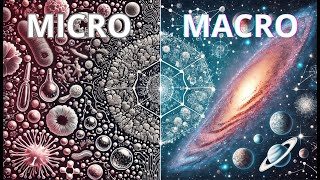 The Micro and Macro A Journey Through the Scales of the Universe [upl. by Euqnom]