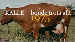 Kalle – bonde trots allt  1975 English comments and text [upl. by Rahm]