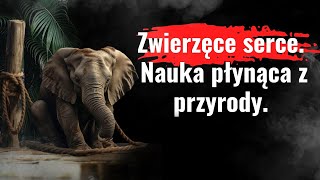 9 mądrych przypowieści o zwierzętach Historie które inspirowały świat WARTO POSŁUCHAĆ [upl. by Lelith484]