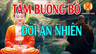 Buông Bỏ Để Bình An Nóng Giận Là Bản Năng Tĩnh Lặng Là Bản Lĩnh Buông Bỏ Những Phiền Não Để An Vui [upl. by Akeihsat917]