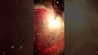 Orion Nebula  January 2024  High Point Scientific highpointscientific astronomy space shorts [upl. by Barn]