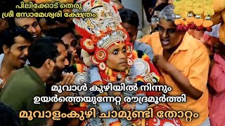 മൂവാൾ കുഴിയിൽ നിന്നും ചെമ്പ്കുടം തകർത്ത് വന്ന രൗദ്രമൂർത്തി മൂവാളംകുഴി ചാമുണ്ടി തോറ്റം [upl. by Arinaj]