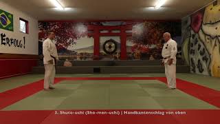 3 Angriff Shutouchi Shomenuchi  Handkantenschlag von oben [upl. by Sanders]