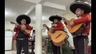 TrimariachiTrio Ranchero De Javier Martagón 7841367243 Papantla [upl. by Annay]