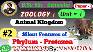 Silent Features of PhylumProtozoa PhylumProtozoa protozoa protozoacharecter animalkingdom [upl. by Etezzil]