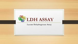 LDH assay Lactate dehydrogenase [upl. by Borszcz]