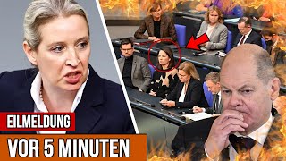 Knast statt rücktritt🚨Baerbock kreidebleich💥AfD rede geht gerade überall viral [upl. by Alicirp]