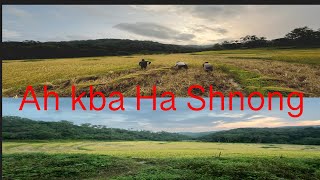 AH KBA HA SHNONG MYNSO jaintia vlog Meghalaya Rice Harvesting please do subscribe to my channel 🙏 [upl. by Ardnosak]