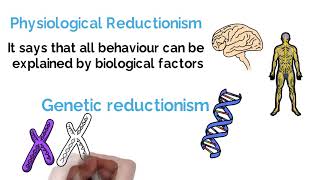 Reductionism vs Holism Psychology Debate Explained Alevel [upl. by Annavaj]