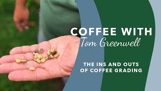 Coffee With Tom Greenwell Episode 4 The Ins and Outs of Coffee Grading [upl. by Enirolf]