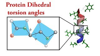 Musical Dihedral torsion angles of proteins [upl. by Evalyn]