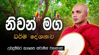 නිවන් මග  Niwan Maga Dharma Deshana by Ududumbara kashyapa thero  Sadaham [upl. by Airotkiv]