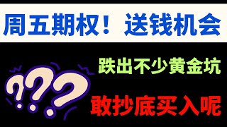 【美股嘉可能】周五送钱机会！黄金坑！敢抄底买入呢部分股可看下周 ！QQQ SPY NVDA TSLA MSTR PANW UBER META SOXL PLTR AVGO DOCU ARM AMZN [upl. by Llenrev202]