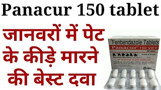 Panacur 150 tablet ke kya fayde haifenbendazole bolus uses in hindiDeworming karne ki tablet [upl. by Sucramat]