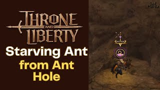 Starving Ant from Ant Hole Throne and Liberty Guide [upl. by Apostles91]