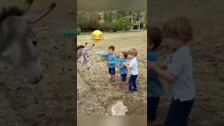 Baby Reactions to Animal Surprises 😂🐶🐱MyPetsie amp adamelea1 [upl. by Lifton]