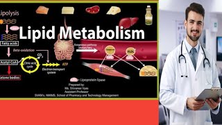 lipid and Phospholipd about mcqs for mdcat best preperation and repeated mcqs [upl. by Hebner364]