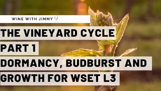 WSET Level 3 Wines  Understanding the Vineyard Cycle Part 1 [upl. by Notsrik551]