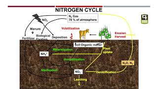 Day 9  Managing Nitrogen as a System  The Nitrogen Cycle [upl. by Pittel]