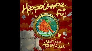 HIPPOCAMPE FOU  New York feat Luciole  2011 [upl. by Krenn]