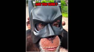 Best Batman Cosplay Moments☠️☠️ [upl. by Hilly722]