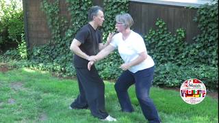 Yangstyle Taijiquan 8 Discframed Pushhands 4 5 amp 6 performed by Jim Madras amp Erica Anderson [upl. by Bruning]