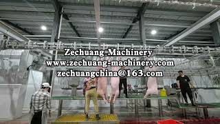 Swine Slaughter Equipment Machinery For Sow Floor Type Viscus Synchronous Quarantine Conveyor [upl. by Seroka207]