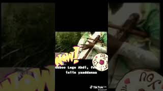 Laggasaa Abdii oromo traditional mesinko music [upl. by Moneta]